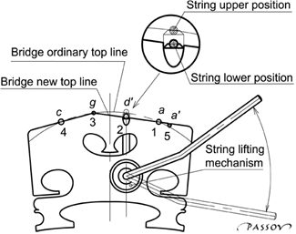 Chord viola bridge