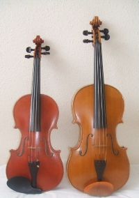 Differences between violin and viola